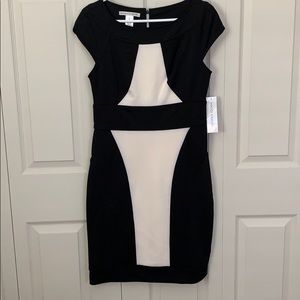Maggy London Dress